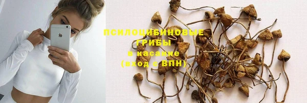 стафф Алексеевка