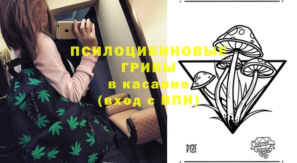 apvp Абаза